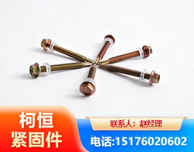 福州六角钻尾丝