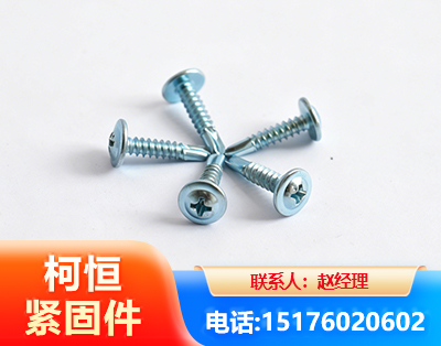 福州华司钻尾丝
